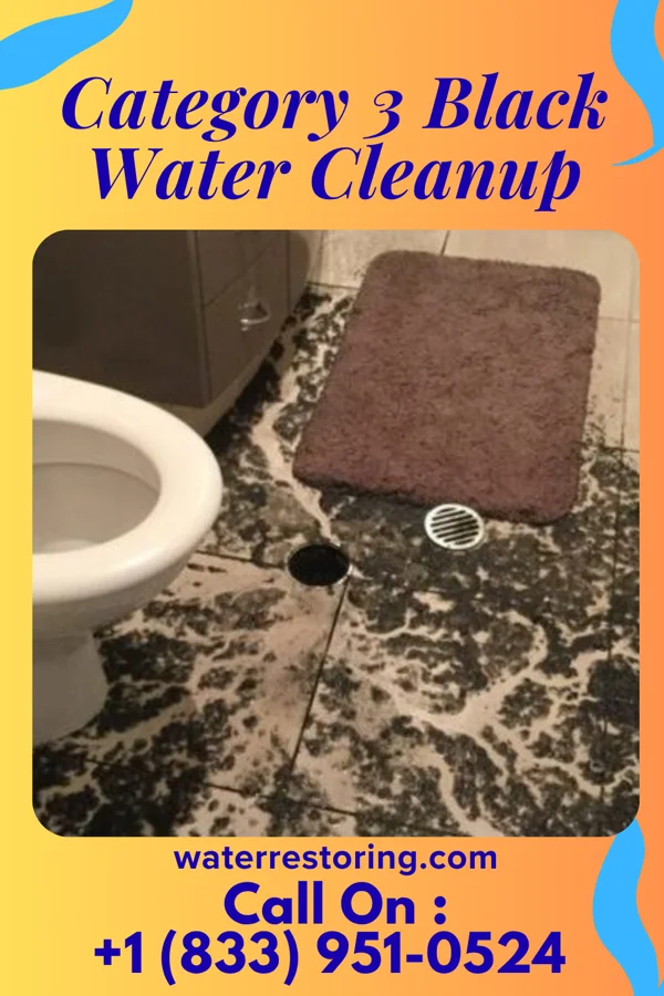 Category 3 Black Water Cleanup in Waterville, MN