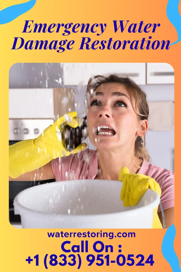 Emergency Water Damage Restoration in Waterville, MN